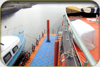 Savor Restaurant - D.H.A