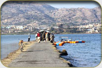 Floating Bird Watching Hide
