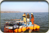 Floating Bird Watching Hide