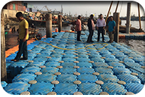 Rehabilitation of Floating Jetty at KFH 