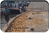 Rehabilitation of Floating Jetty at KFH 