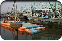 Rehabilitation of Floating Jetty at KFH 