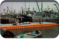 Rehabilitation of Floating Jetty at KFH 