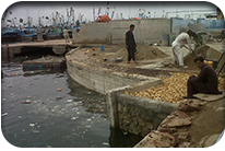 Rehabilitation of Floating Jetty at KFH 