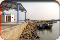 Fish Harbor - Kalka Channi