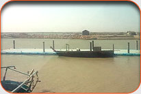 Fish Harbor - Kalka Channi