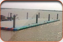 Fish Harbor - Kalka Channi