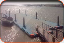 Fish Harbor - Kalka Channi