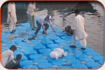 Karachi Fish Harbor