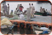 Karachi Fish Harbor