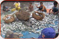 Karachi Fish Harbor