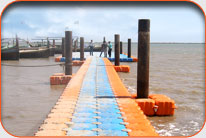 Fish Harbor - Kharo Chan