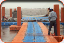 Fish Harbor - Kharo Chan