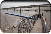 Hayat Jat Usman jat - Thatta