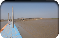 Hayat Jat Usman jat - Thatta