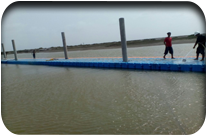 Hayat Jat Usman jat - Thatta