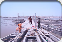 Ghungro Kar (Zero Point) - Badin