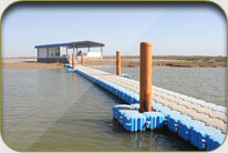 Fish Harbor - Sholani Goth