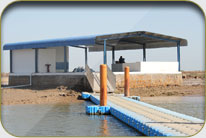 Fish Harbor - Sholani Goth