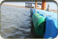 Fish Harbor - Sholani Goth